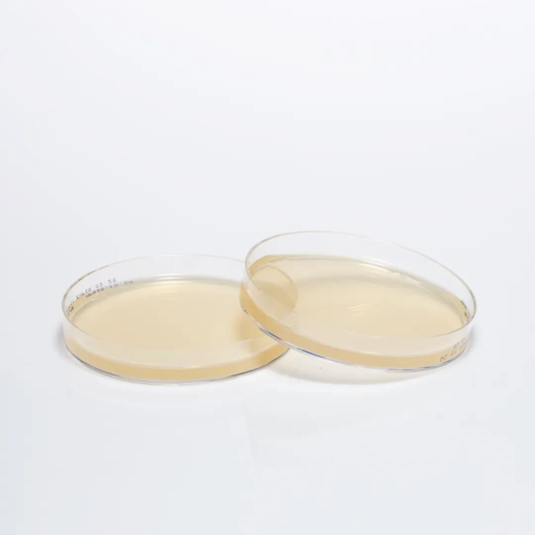 HAZIR MUELLER HINTON BESİYERİ, 90 MM